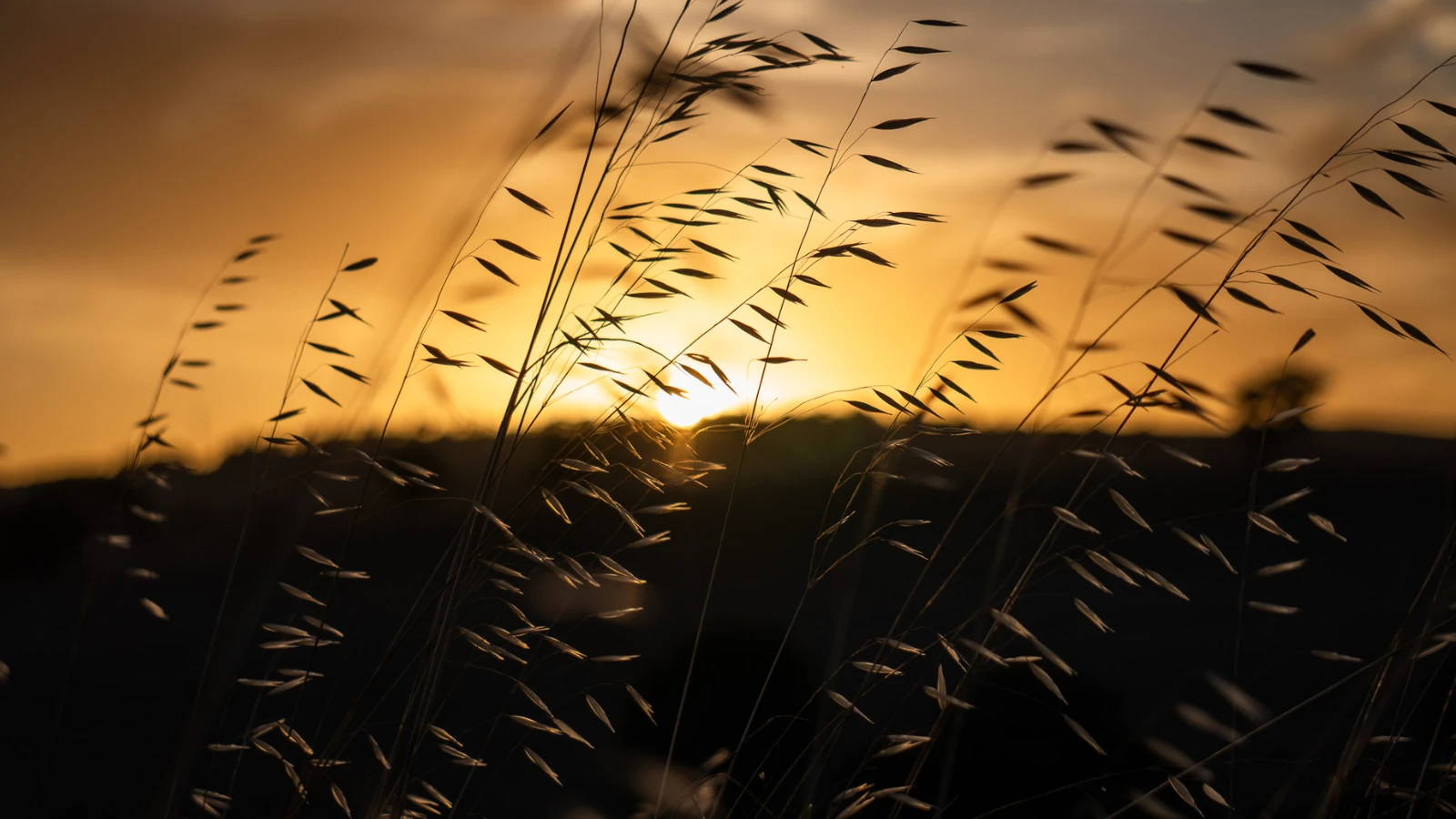 CURIOUS TO KNOW MORE?